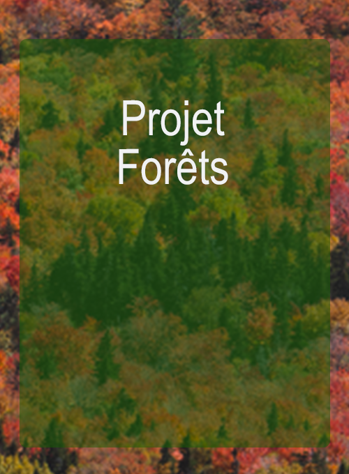 Projet Forêts